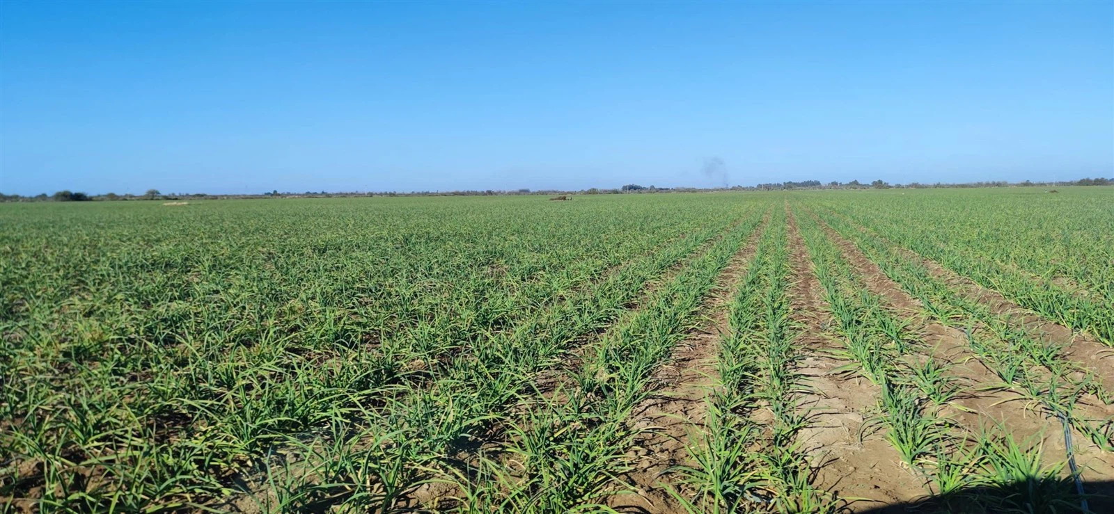 202506181639271 202506181639271