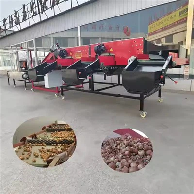 Máy phân loại kích thước tỏi công nghiệp\/Máy phân loại hành tây\/Máy phân loại tỏi\/Máy phân loại tỏi